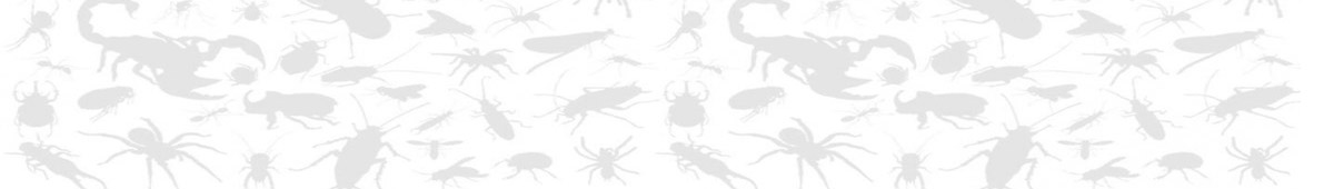 Pest Control