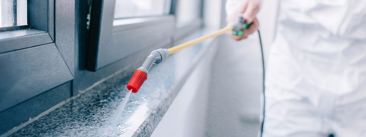 General Contractor